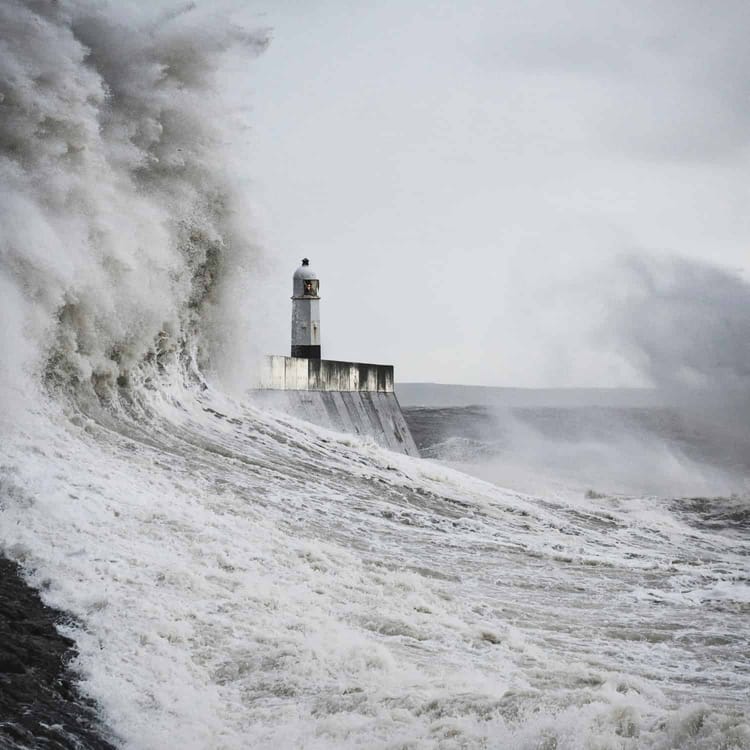 Heno, bydd cyhyraeth yn sgrechian